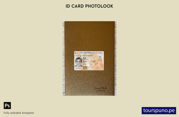 listo para imprimir plantilla frontal de aspecto fotográfico de tarjeta de id 43